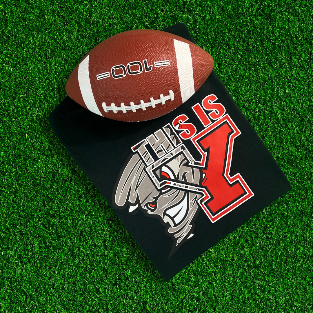 This is YELM Tornado shirt